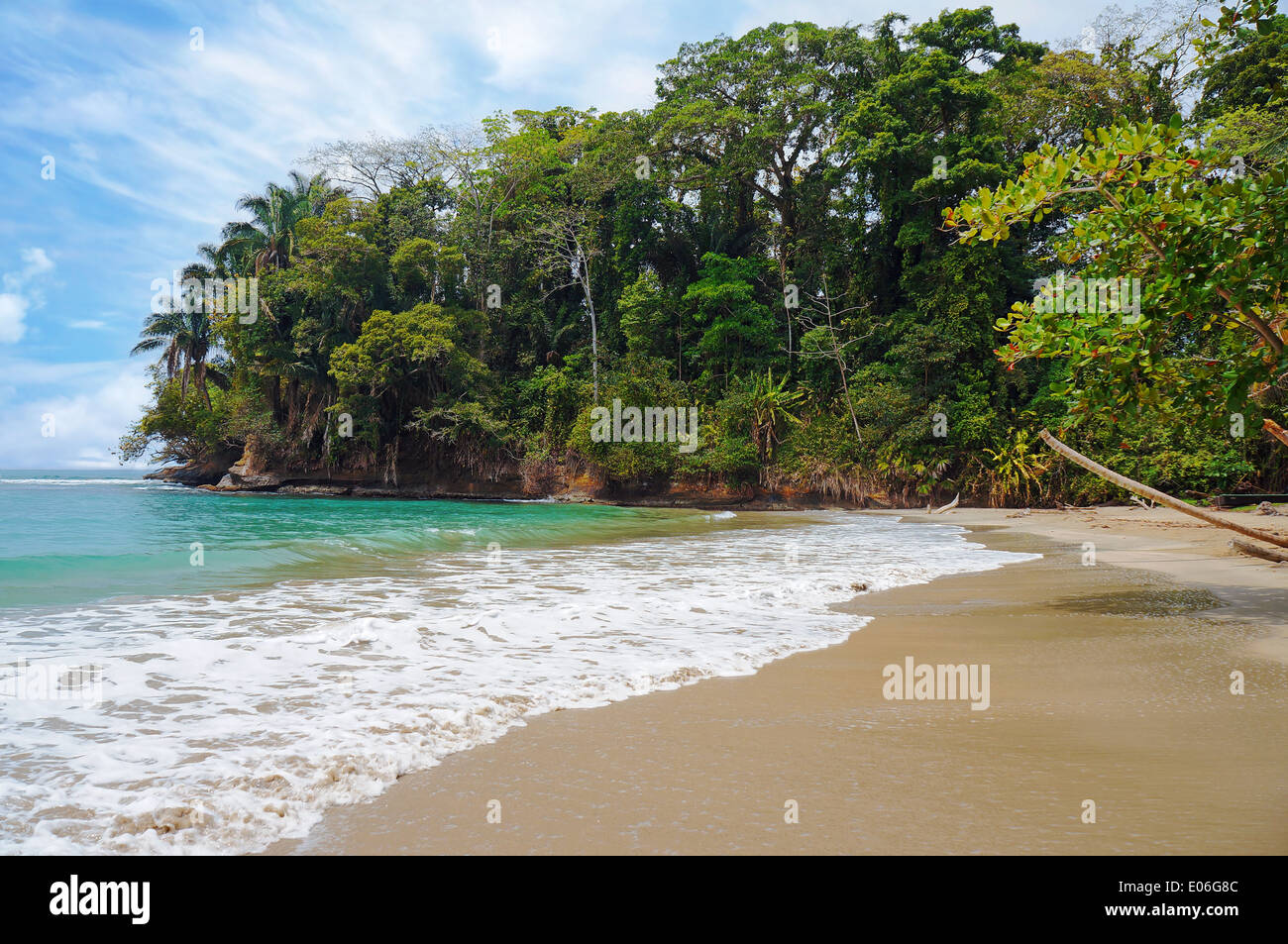 Spiaggia tropicale con vegetazione bellissima, Punta Uva, Puerto Viejo, Costa Rica Foto Stock