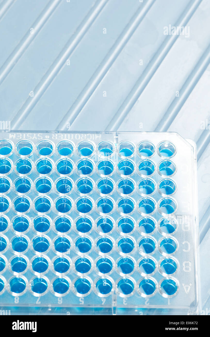 Profondo vassoio di prova Foto Stock
