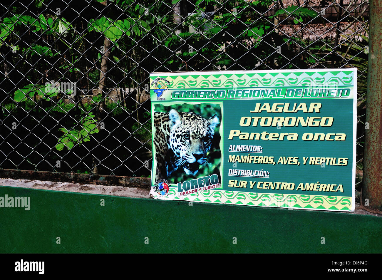 Jaguar segno - QUISTOCOCHA - Zoological Park di Iquitos. Dipartimento di Loreto .PERÙ Foto Stock