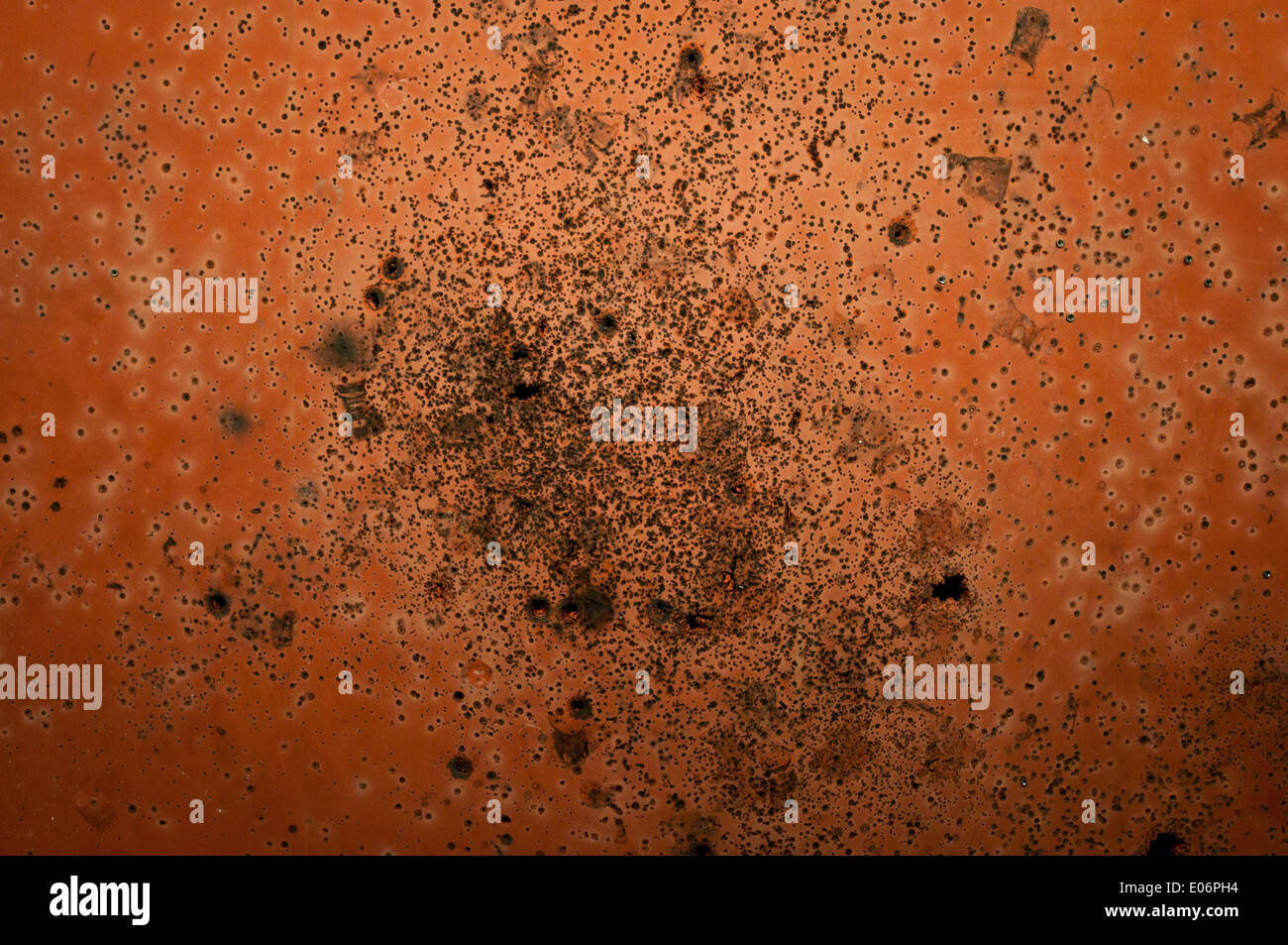 Orange parete piena di buchi da proiettili e agglomerati in forma di pellets Foto Stock