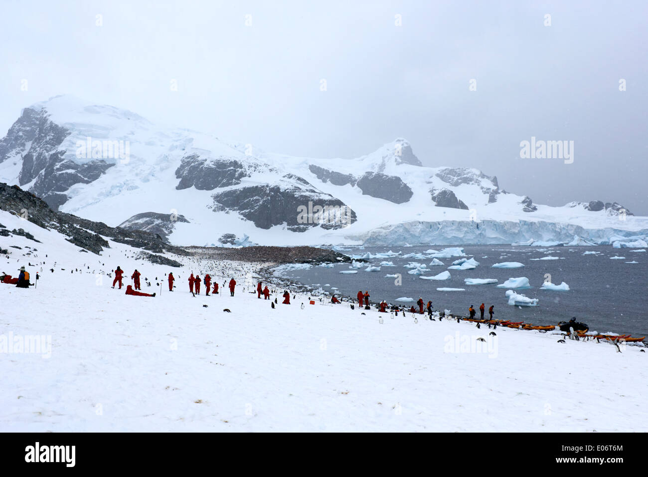 I turisti distesa dopo lo sbarco in escursione a gentoo colonia di pinguini su de Cuverville Island antartide Foto Stock
