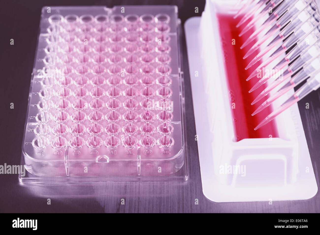Strumenti per l'amplificazione mediante PCR del DNA, piastra da 96 pozzetti con pipetta automatica Foto Stock