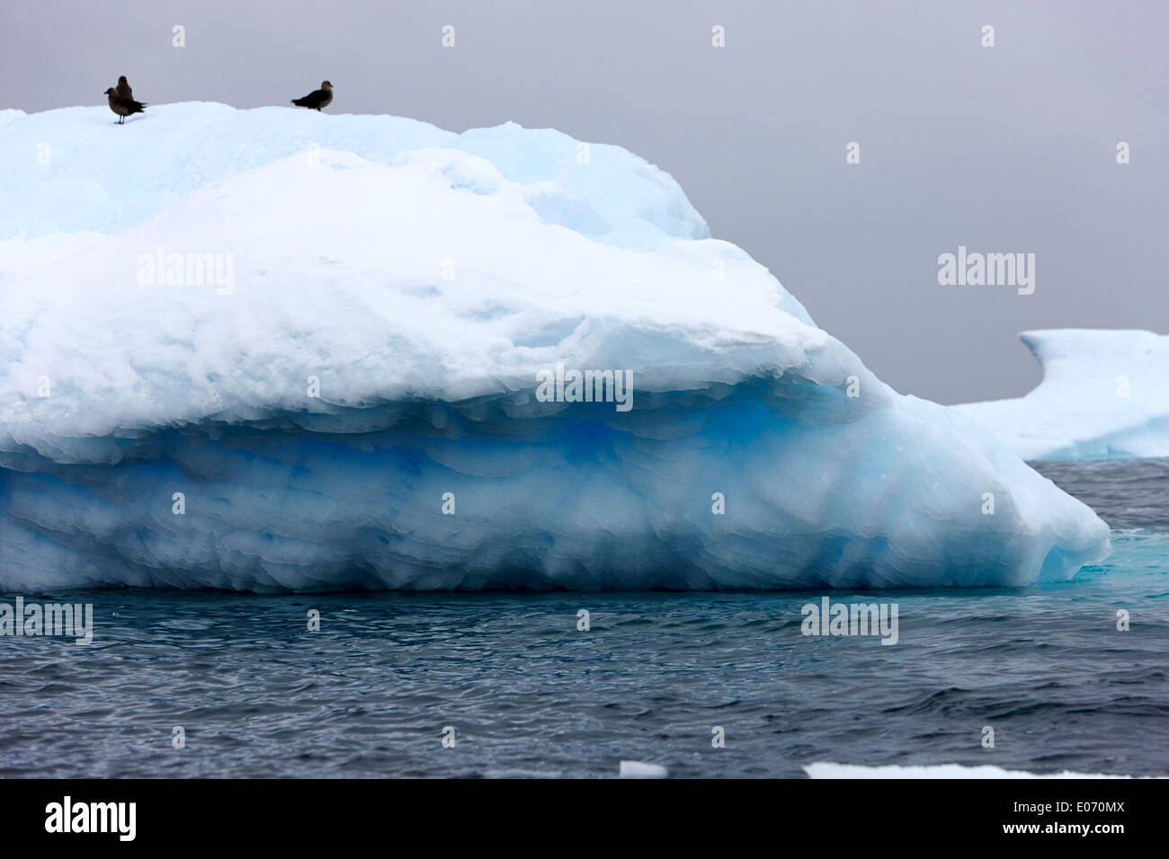 Linea acqua erosione di iceberg nei pressi de Cuverville Island Antartide Foto Stock