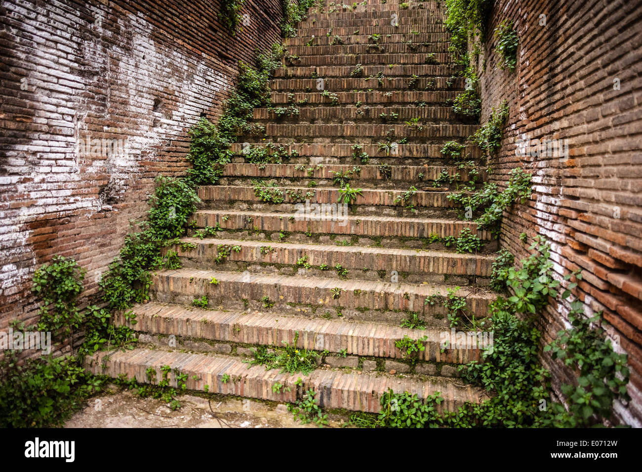 Una antica scala romana situato nel teatro romano di Benevento, Italia Foto Stock