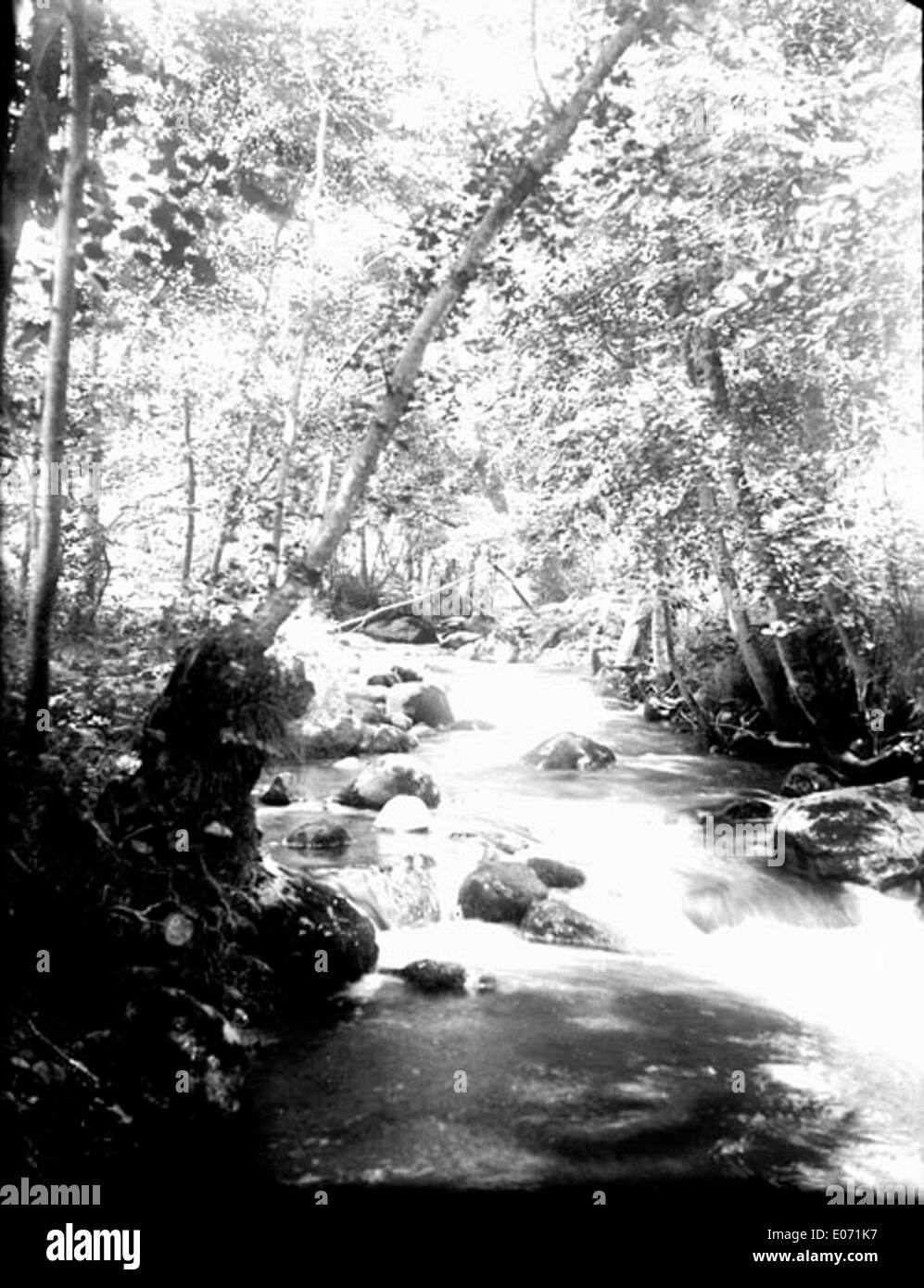 "Ruisseau dans les bois, près de Saurat, Ariège" è un dipinto paesaggistico francese che raffigura un sereno torrente che scorre attraverso i boschi vicino a Saurat nella regione di Ariège. Le opere d'arte sottolineano la bellezza naturale e la tranquillità della campagna francese. Foto Stock