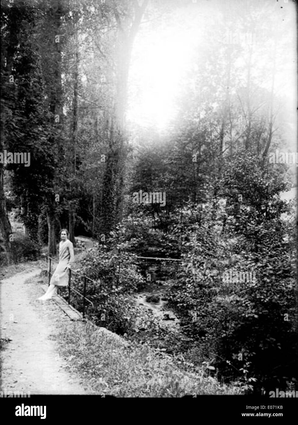 "Dans les bois" è un pezzo della Bibliothèque de Toulouse, situata nella regione dell'Ariège, che mostra la bellezza naturale e il patrimonio culturale della campagna francese, nonché il suo significato storico. Foto Stock