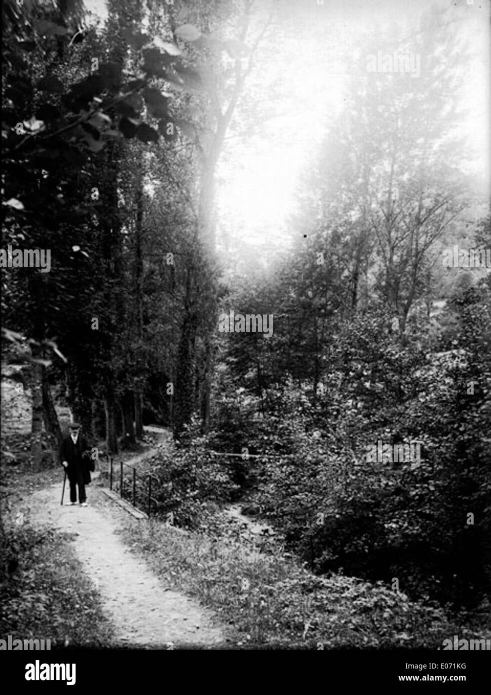 "Dans les bois, Saurat" è un'opera d'arte che raffigura una scena boschiva nella regione francese di Ariège. È ospitato nella Bibliothèque de Toulouse, che mostra la bellezza naturale della zona attraverso la lente di un artista durante il XIX secolo. Foto Stock