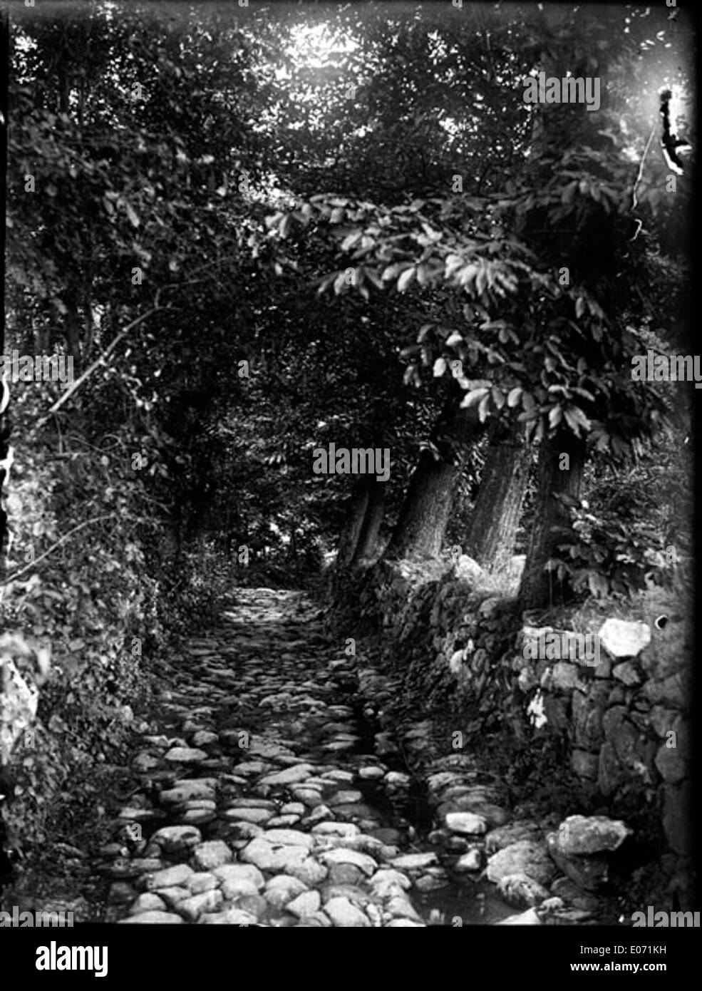 Una fotografia del sentiero boscoso vicino a Saurat, Ariège, in Francia. Catturata nella regione di Tolosa, questa immagine mostra la bellezza tranquilla dell'ambiente naturale. Foto Stock