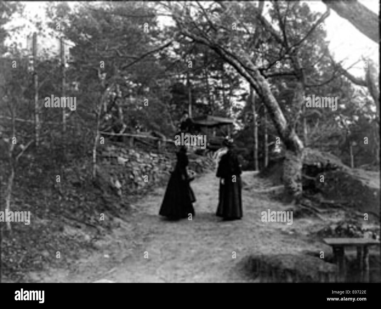 Questo dipinto, intitolato El, gantes se promenant dans un bois (gente elegante che cammina in una foresta), è stato creato nell'aprile 1899 a Fontainebleau. Raffigura persone che passeggiano nella tranquilla foresta di Fontainebleau, catturando l'essenza del paesaggio impressionista francese e della vita sociale durante la fine del XIX secolo. Foto Stock