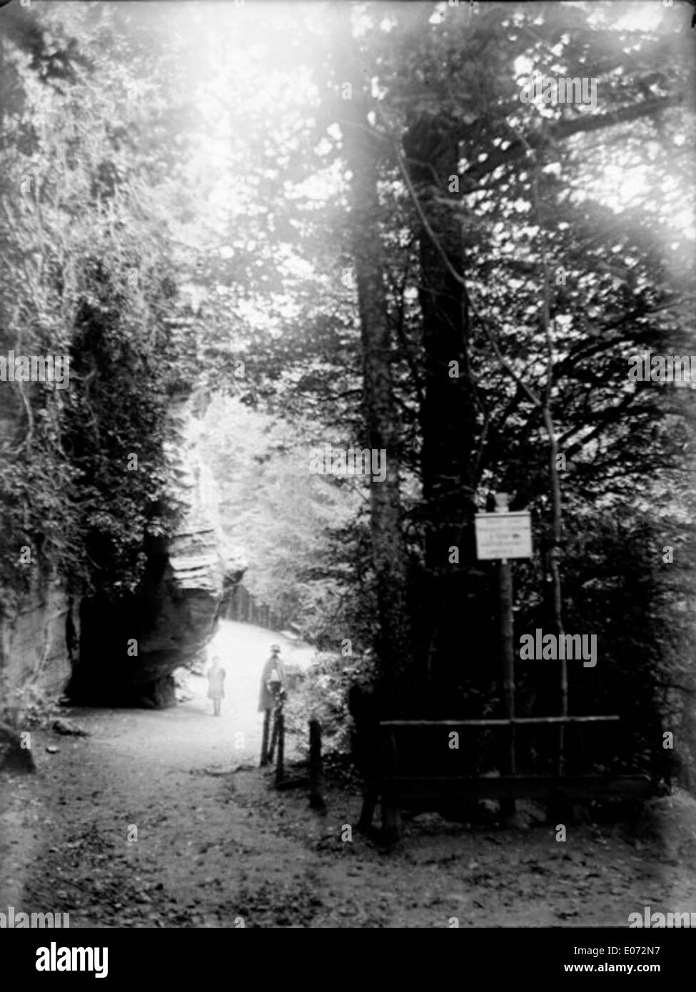 L'opera d'arte intitolata *Chemin dans la Forêt* raffigura un tranquillo sentiero forestale nella regione francese di Bas-Rhin. Il dipinto mostra l'ambiente naturale tranquillo, catturando gli alberi fitti e l'atmosfera tranquilla tipica delle scene forestali dell'arte francese. Foto Stock