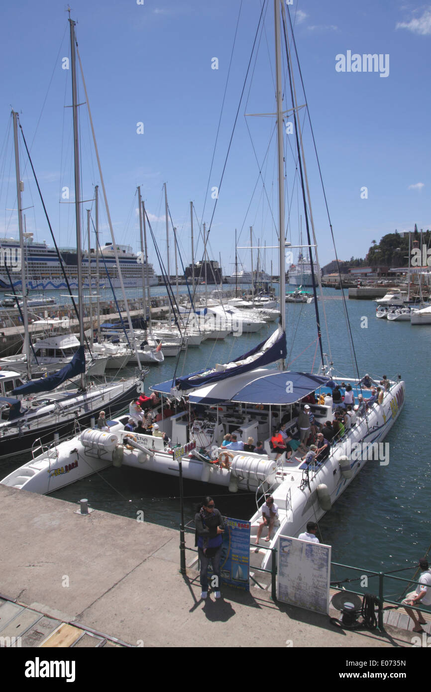 Catamarano a Marina di Funchal Madeira Foto Stock