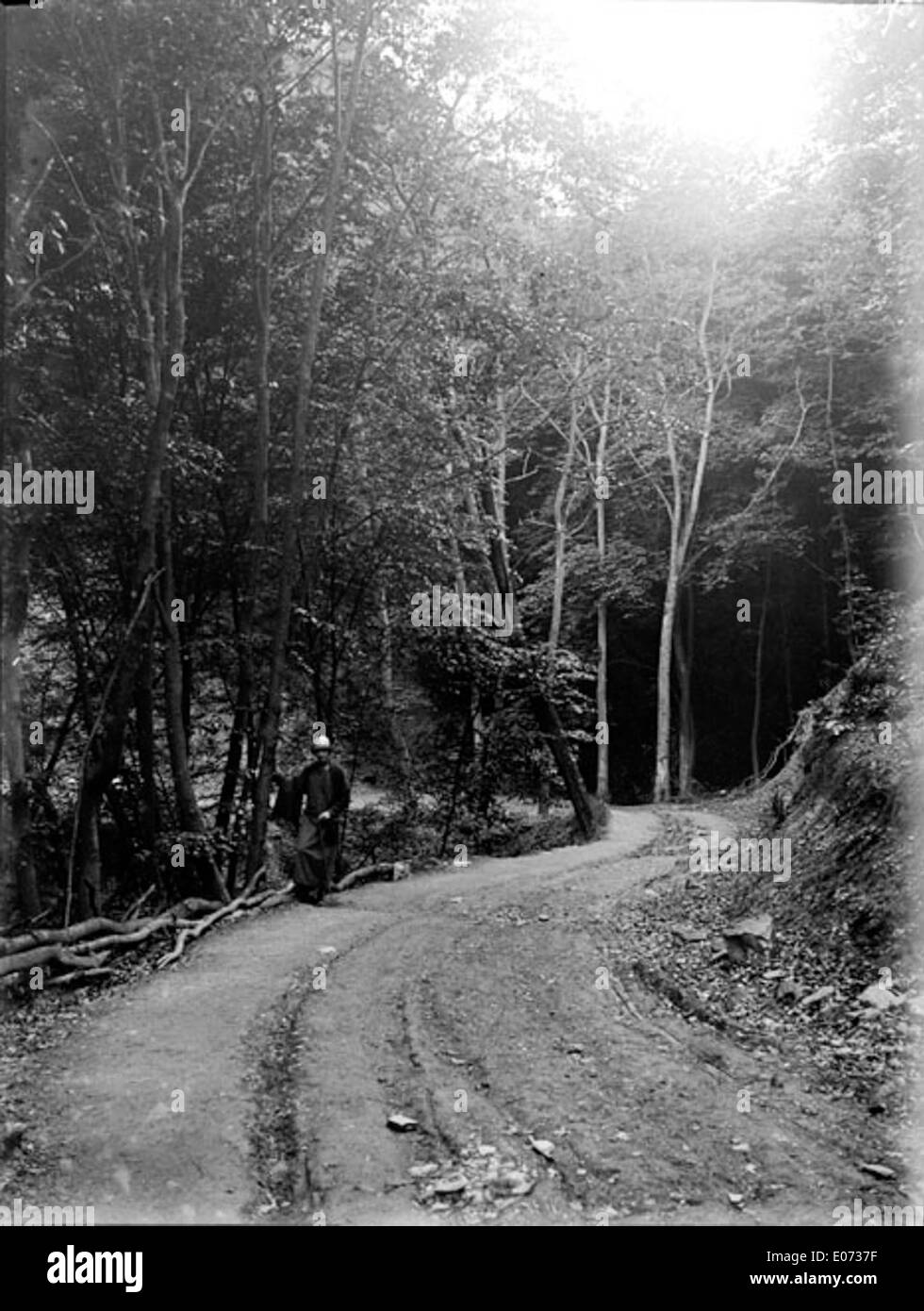 Questa immagine cattura un sentiero rurale, "Route de terre dans la Forêt" (strada sterrata nella foresta), una scena storica della Bibliothèque de Toulouse. Illustra il paesaggio rustico e i dintorni naturali della regione di Tolosa. Foto Stock