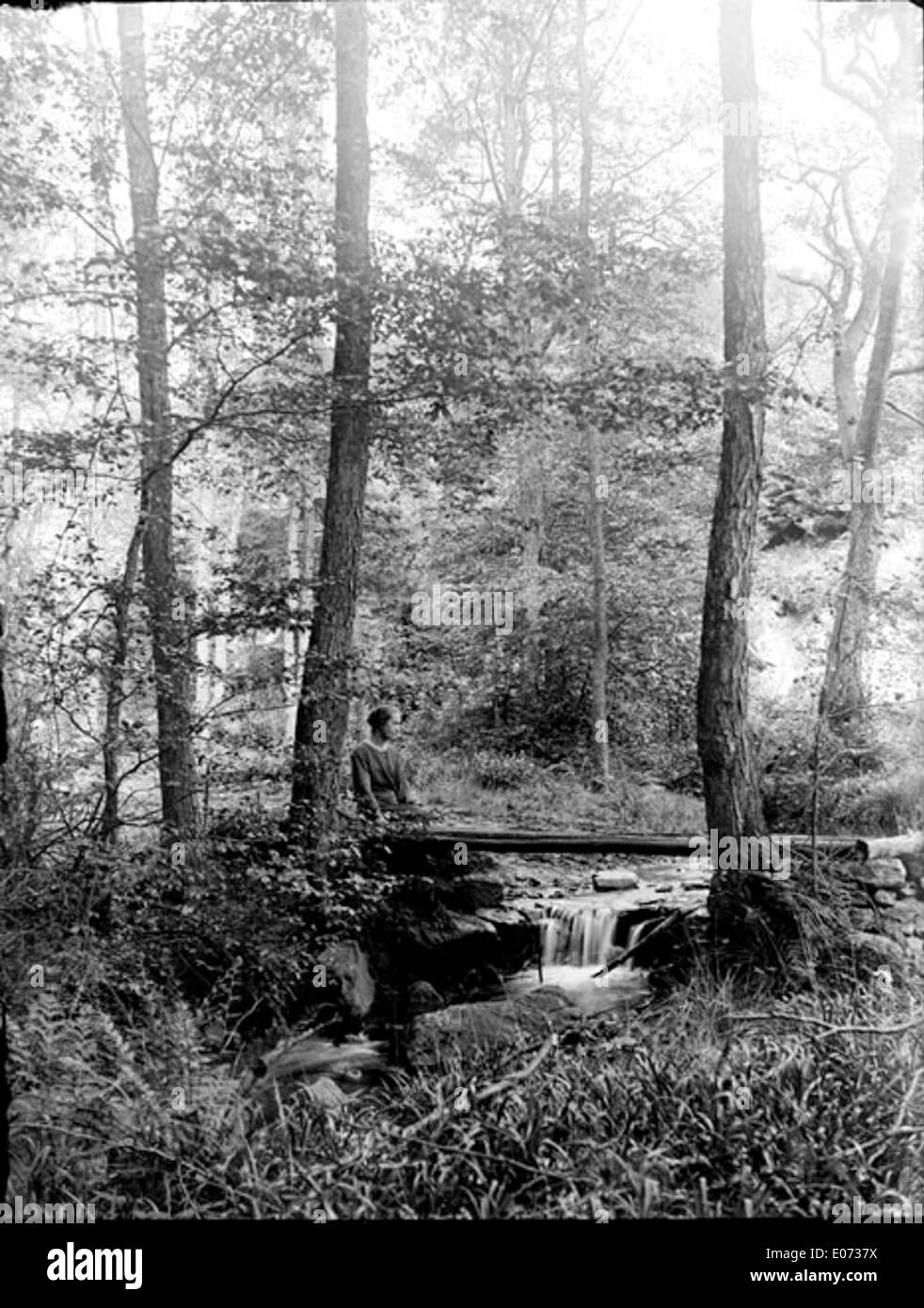 Questo dipinto, intitolato "Femme assise sur des rochers dans un bois" (donna seduta su rocce in una foresta), raffigura una figura femminile solitaria seduta in un tranquillo ambiente forestale. L'opera d'arte cattura la pacifica convivenza della natura e della presenza umana, con colori morbidi e tenui che riflettono la serenità della scena. Foto Stock