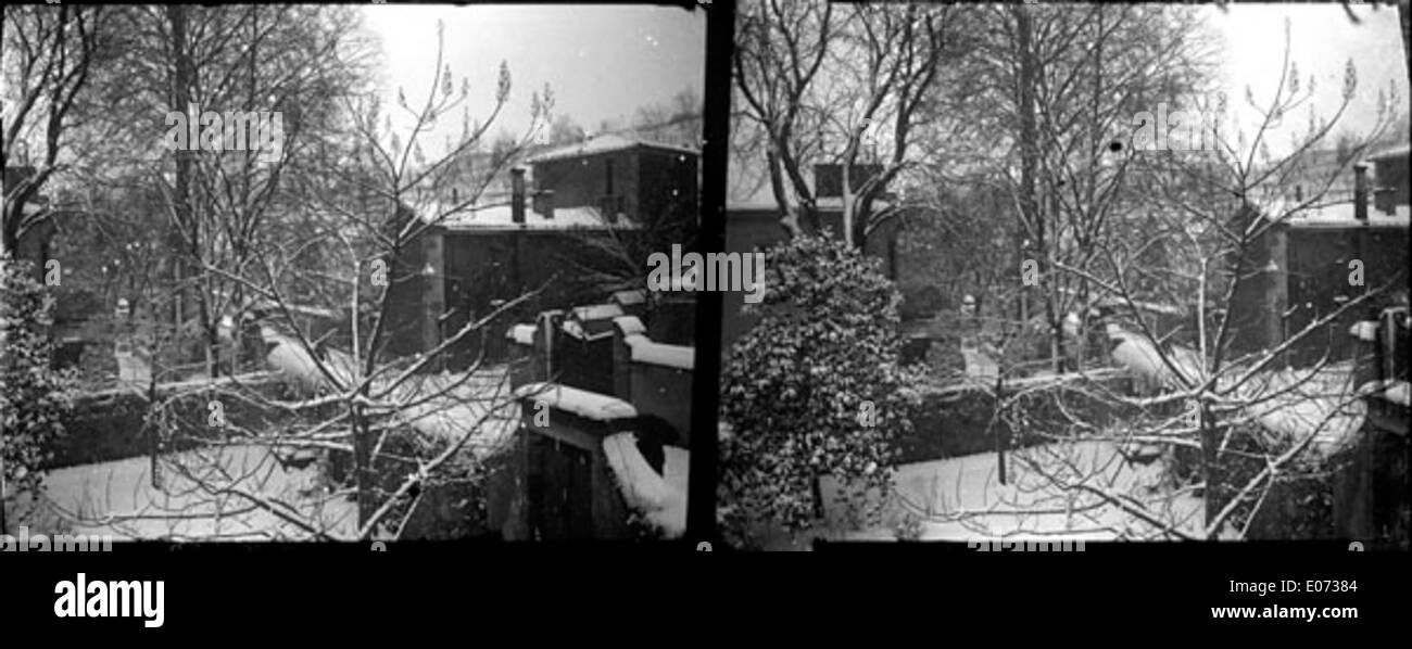 Bâtiments sous la neige entourés d'arbres en hiver Foto Stock