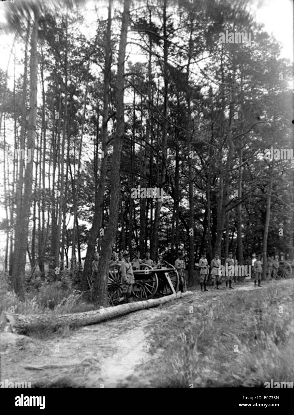 *Soldats artilleurs en maneuver dans la Forêt* raffigura soldati di artiglieria in una foresta in Germania, illustrando le esercitazioni militari condotte durante la guerra. La scena offre una visione storica della vita militare, mostrando i soldati in azione in mezzo al paesaggio naturale. Foto Stock