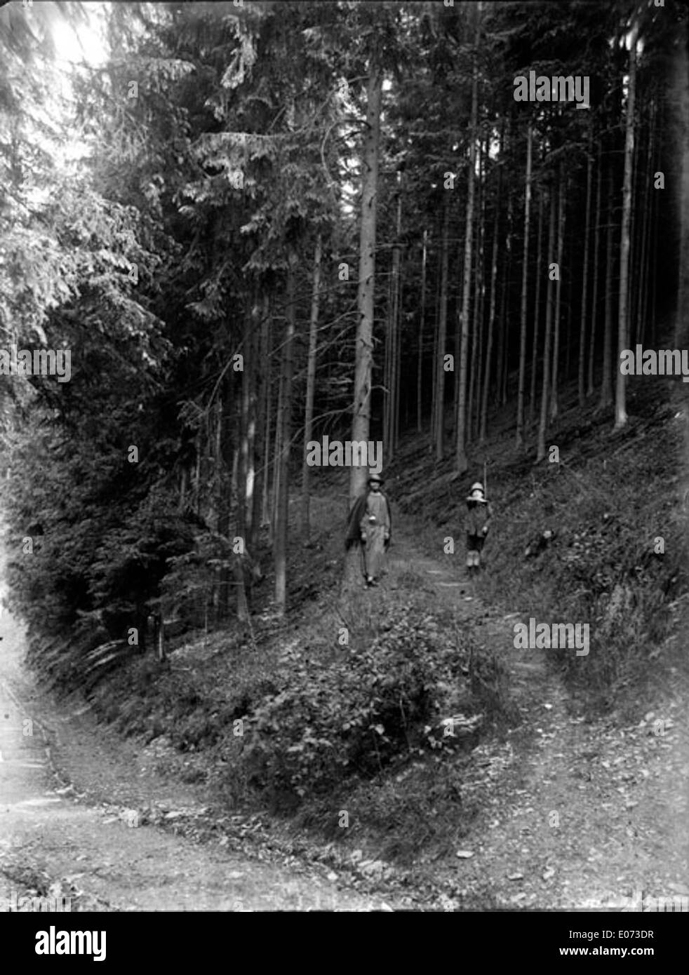 Questo dipinto francese del XIX secolo intitolato *Promenade sur un sentier descendant dans les bois* cattura una tranquilla scena forestale in Germania, evidenziando il percorso attraverso i boschi, sottolineando la tranquillità dell'ambiente naturale circostante. Foto Stock