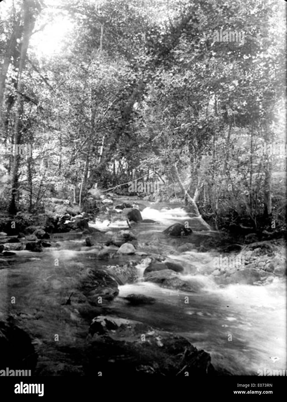 *Riviére dans un bois* è un dipinto di paesaggio ospitato nella Bibliothèque de Toulouse. Rappresenta una tranquilla scena fluviale ambientata in una foresta, che mostra la bellezza della natura nell'arte del XIX secolo. Foto Stock