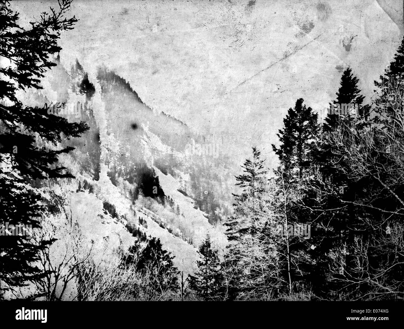 Pic de la Pique, vu de la forêt de Charruga, Luchon (dintorni), (1891?) Foto Stock