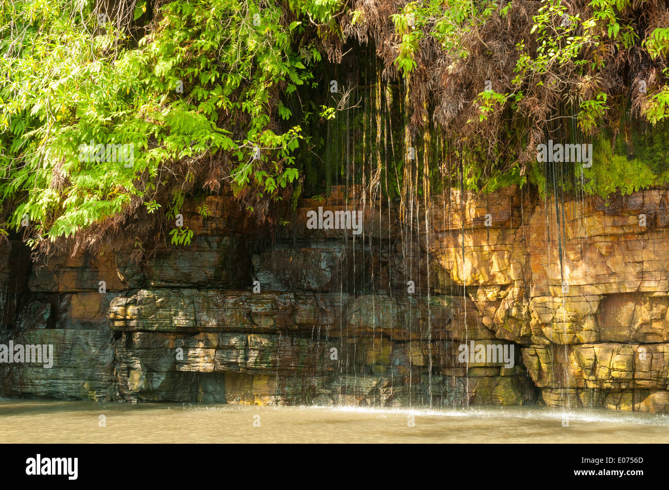 Roccia verticale giardino re a cascata, Prince Regent River, il Kimberley, Australia occidentale, Australia Foto Stock