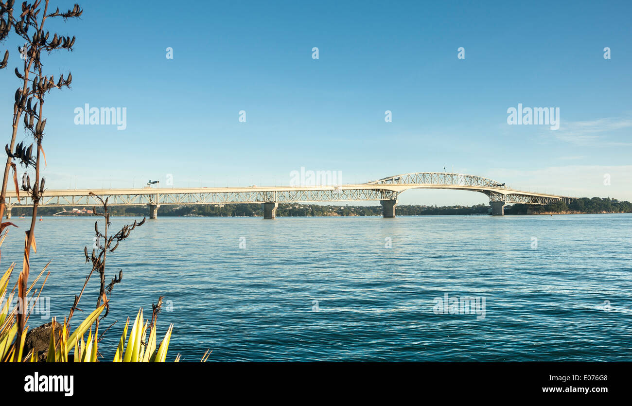 Auckland Harbour Bridge dal Westhaven nel marzo 2014. Foto Stock