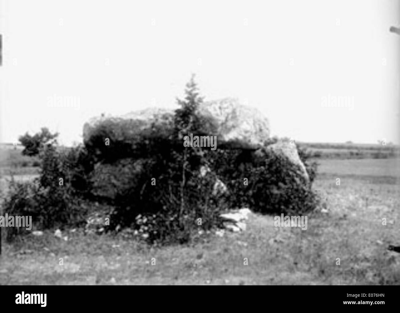Penne è un tipo di pasta noto per la sua forma a scanalature, spesso utilizzato nella cucina italiana per la sua capacità di contenere salse. Si tratta di una pasta versatile utilizzata in vari piatti, dalla pasta al forno alle insalate di pasta. Foto Stock