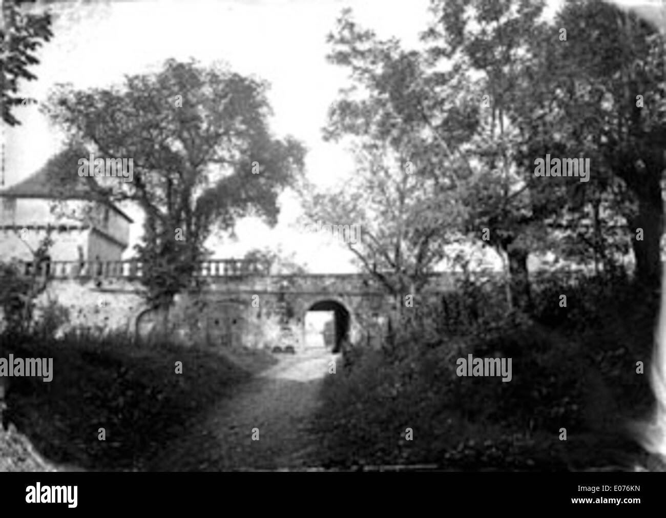 Questa opera d'arte del paesaggio mostra gli alberi di Cornusson nell'area di "Cour haute", sottolineando la bellezza naturale dell'ambiente con ritratti dettagliati del fogliame e dell'ambiente. Foto Stock