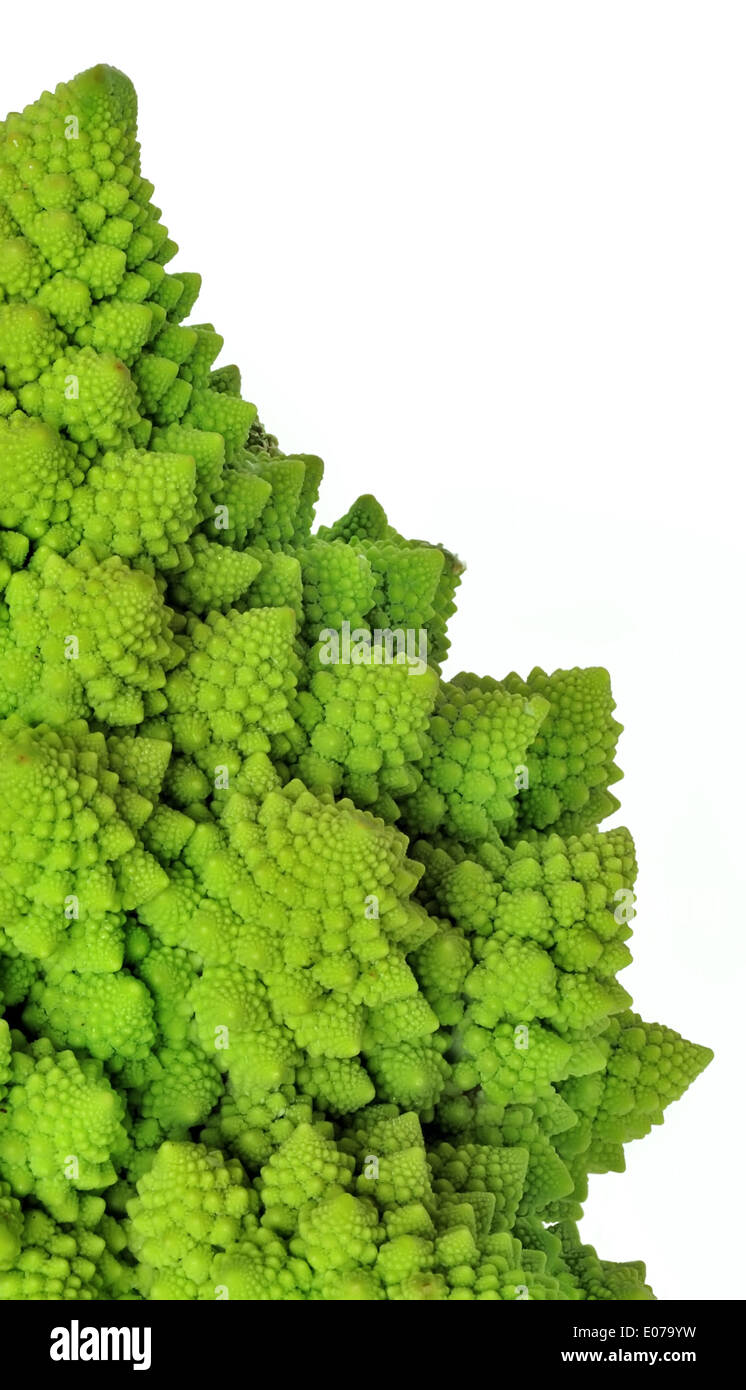 Roman cavolo verde a forma di frattali, dettagli su sfondo bianco Foto Stock