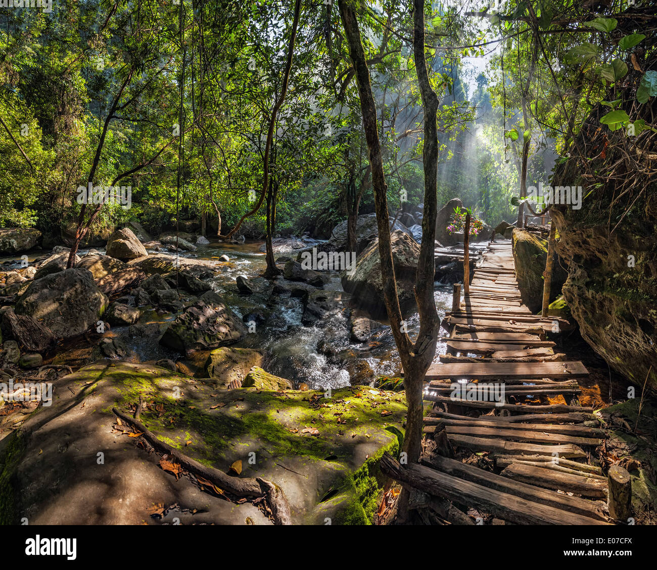 Giornata di sole a foresta pluviale tropicale paesaggio con ponte di legno e il fiume vicino Kulen cascata in Cambogia Foto Stock