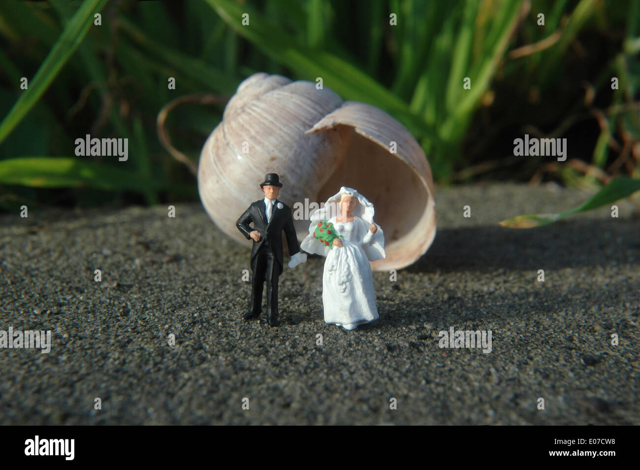Illustrazione - Midget figure di una coppia di nozze stand di fronte a una lumaca shell in Germania, 20 novembre 2009. Fotoarchiv für Zeitgeschichte - SENZA FILI Foto Stock