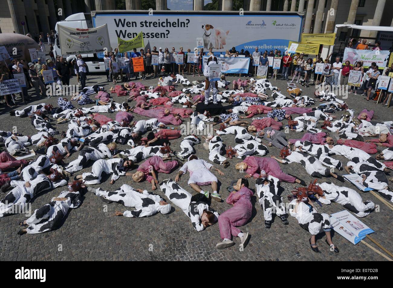 Berlino, Germania. 20th luglio, 2013. I manifestanti sono vestiti come maiali e mucche si trovano sul pavimento alla parata Veggie di Pariser Platz a Berlino, Germania, 20 luglio 2013. La parata Veggie è una dimostrazione di vegani contro il consumo di prodotti animali. Fotoarchiv für Zeitgeschichte - NO WIRE SERVICE/dpa/Alamy Live News Foto Stock