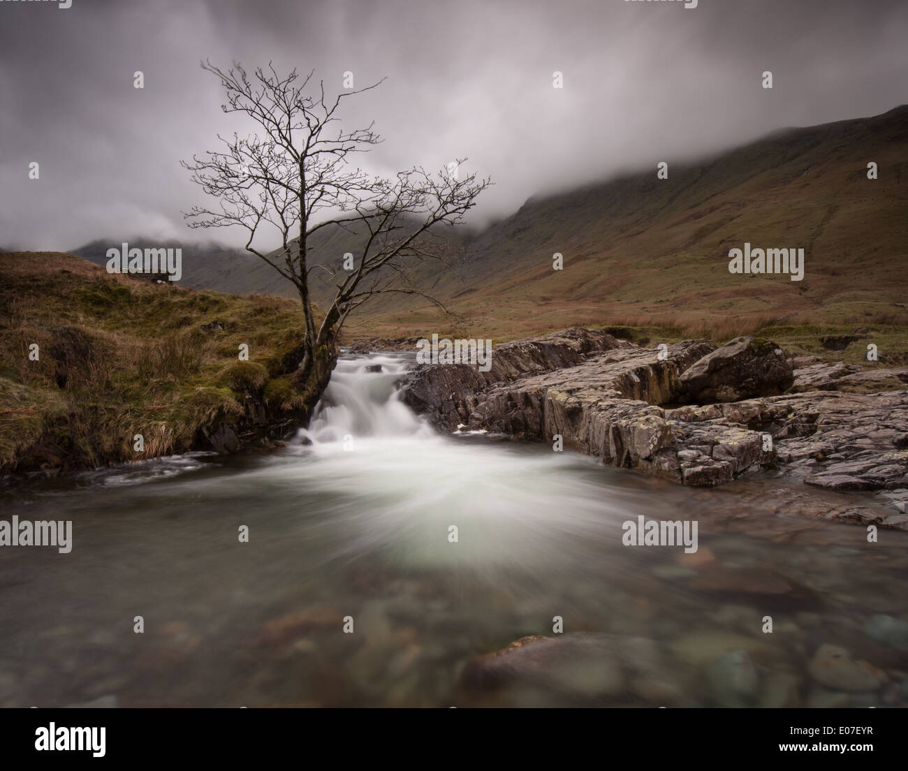 Lone Tree e cascata nella valle Langstrath nel Lake District inglese Foto Stock