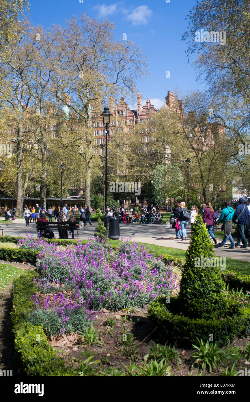 Russell Square in primavera con la gente seduta, passeggiate rilassanti con fiori viola in primo piano Bloomsbury Londra Inghilterra REGNO UNITO Foto Stock