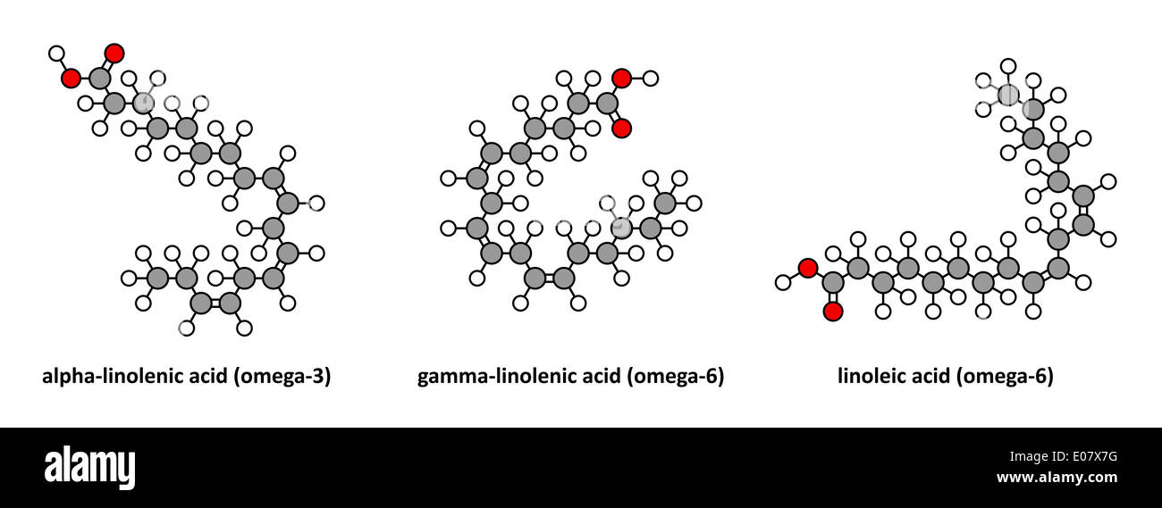 Alfa-Linolenico (Omega-3, ALA), gamma-linolenico (omega-6) e acido linoleico  (omega-6) acido. Stilizzata 2D rendering Foto stock - Alamy