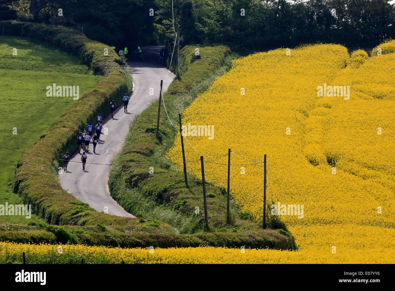 A nord del villaggio di Dorset maratona, 04 maggio 2014. Oltre 280 corridori hanno preso parte a nord del villaggio di Dorset marathon. Foto Stock