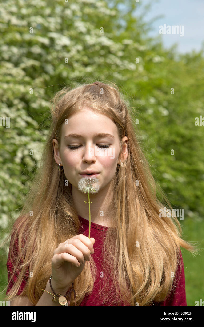 Ragazza adolescente semi di soffiatura di un fiore di tarassaco testa Foto Stock