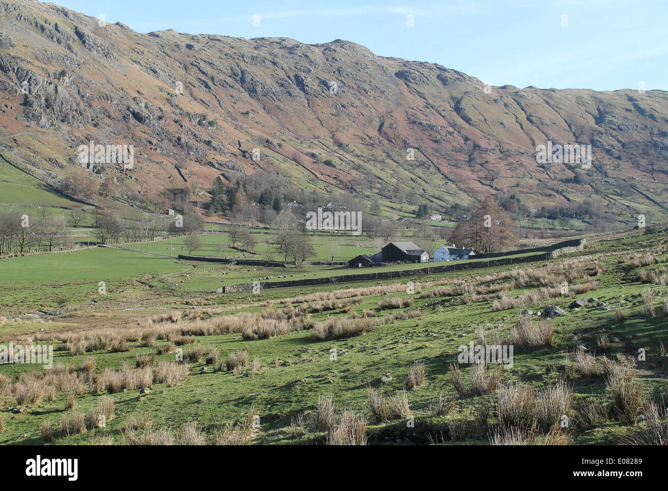 Lato Fattoria adagiata sul fondo del Langdale valle sotto ripide, secco della pietra ghiacciate lati a valle Foto Stock