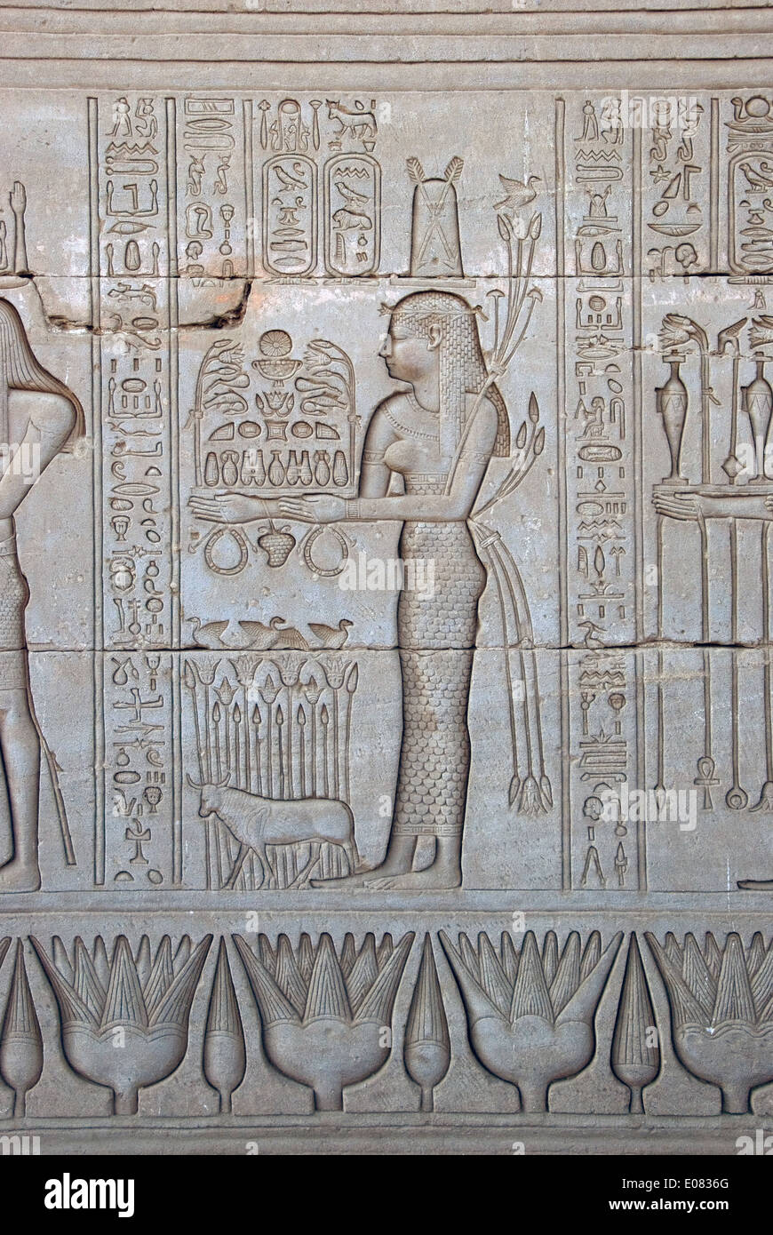L'Egitto,Dendera,tempio tolemaico della dea Hathor.incisioni sulla parete esterna. Foto Stock