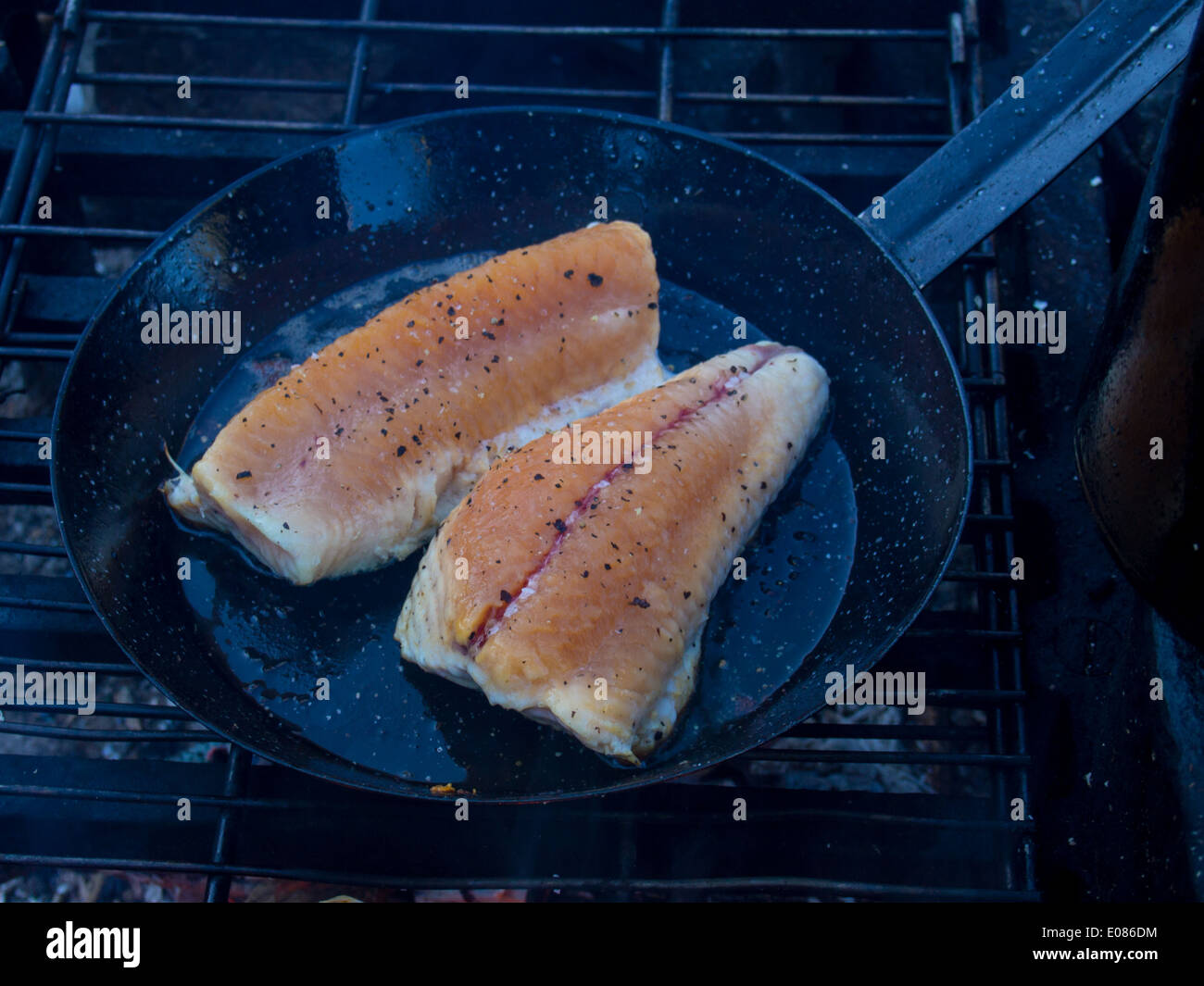 La cottura alla griglia trota di lago Foto Stock