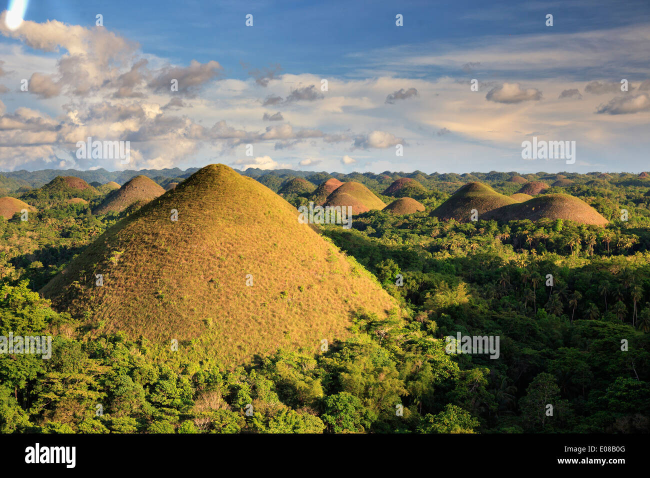 Filippine, Bohol, Chocolate Hills Foto Stock