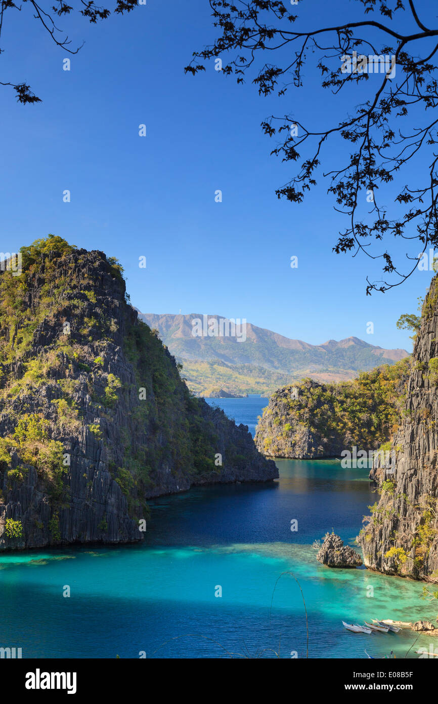 Filippine, Palawan Coron Island, il Kayangan Lake, vista in elevazione di una delle scogliere calcaree Foto Stock