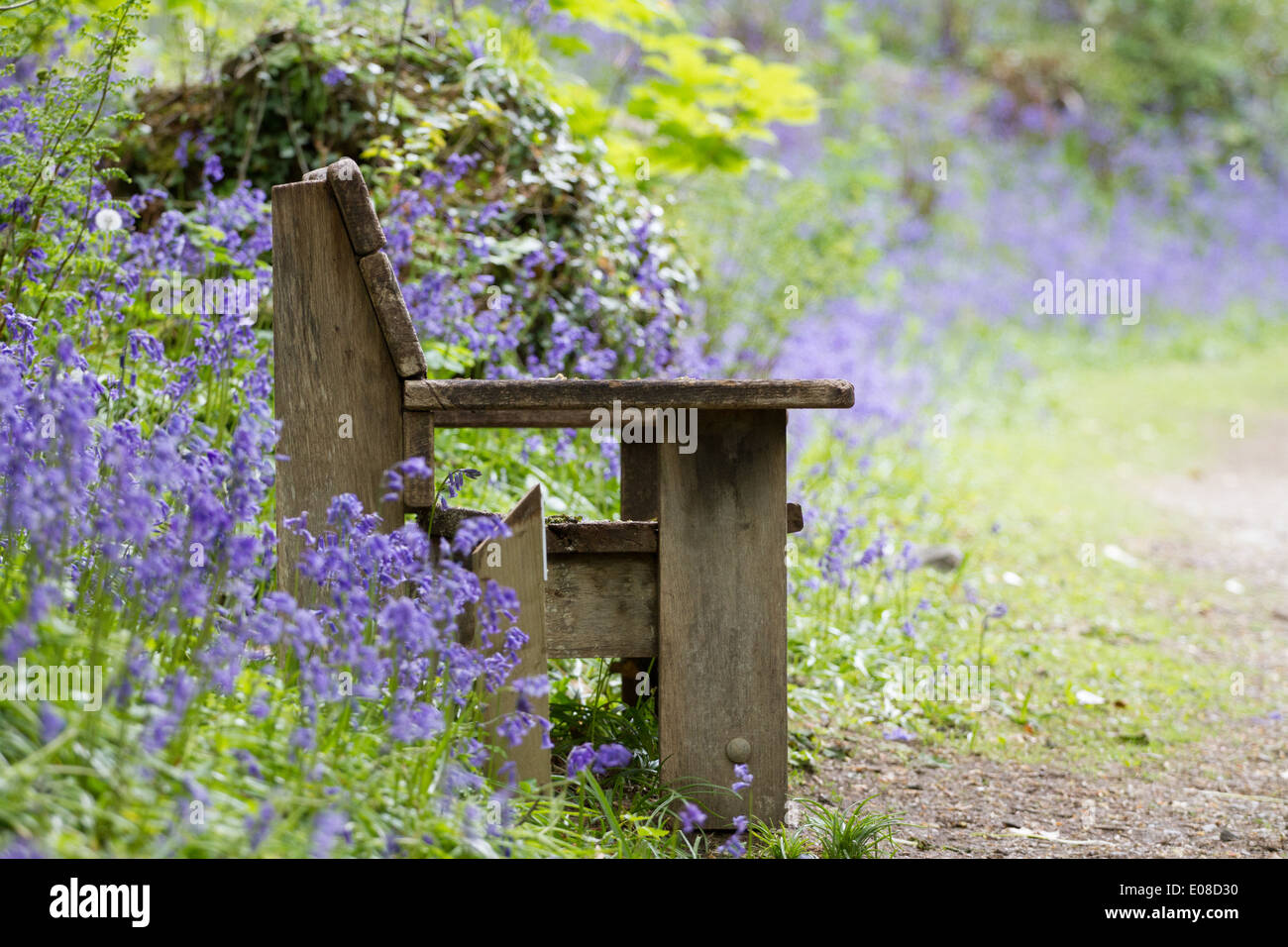 Una panca in legno in vista laterale tra bluebells e da un percorso Foto Stock