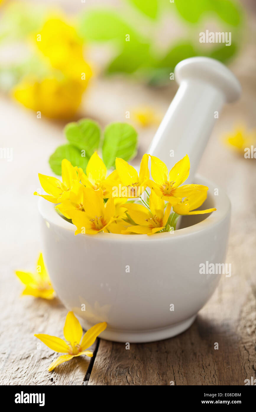 Mortaio con fiori ed erbe per spa Foto Stock
