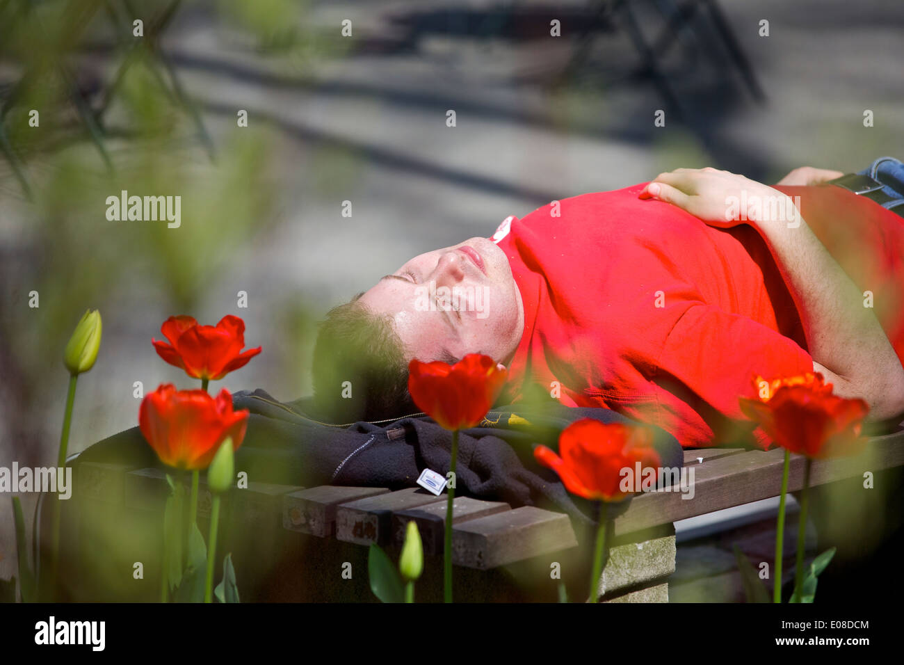 Uomo dorme Off una sbornia In Bryant Park di New York City. Foto Stock