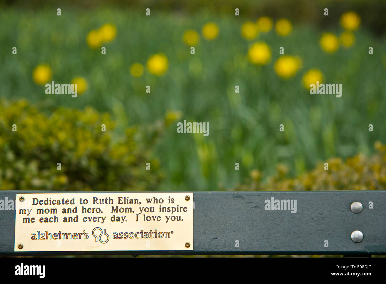 Dedicato a Mom, una targa in ottone su una panchina nel parco In Bryant Park di New York City. Foto Stock