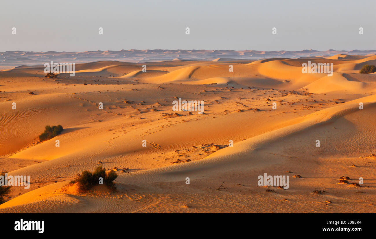 Sabbia paesaggio di dune nel deserto Arabico. Foto Stock