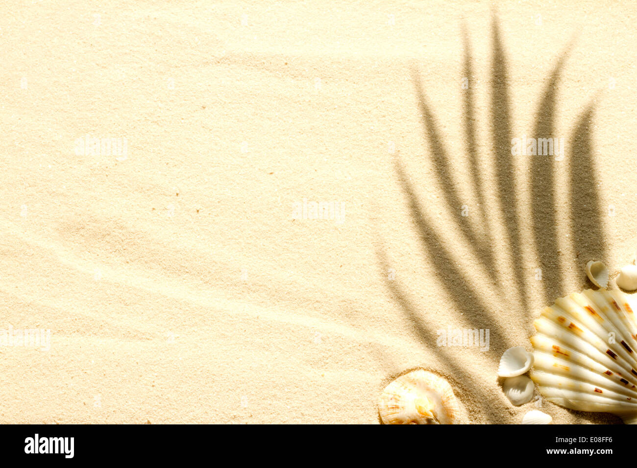 Spiaggia di sabbia con palm e conchiglie astratto concetto di sfondo Foto Stock
