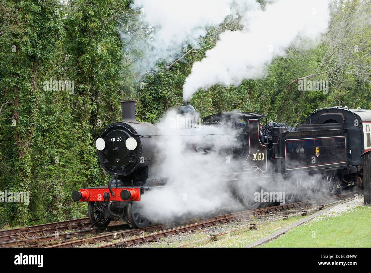 Un vecchio Express Motore di Vapore 30120 in Bodmin & Wenford Railway a Bodmin sua una LSWR classe T9 Greyhound 4-4-0 , costruito nel1899 Foto Stock