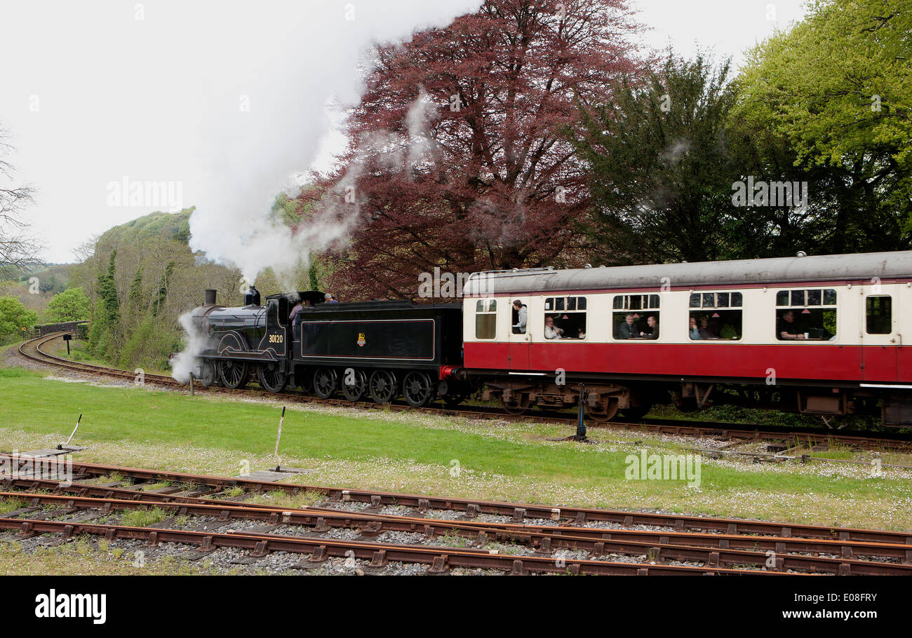 Un vecchio Express Motore di Vapore 30120 in Bodmin & Wenford Railway a Bodmin sua una LSWR classe T9 Greyhound 4-4-0 , costruito nel1899 Foto Stock