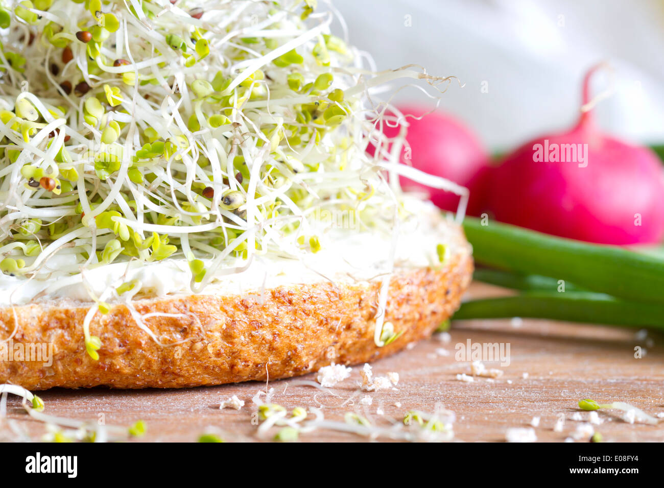 I germogli di ravanello sul panino cibo sano closeup concetto Foto Stock