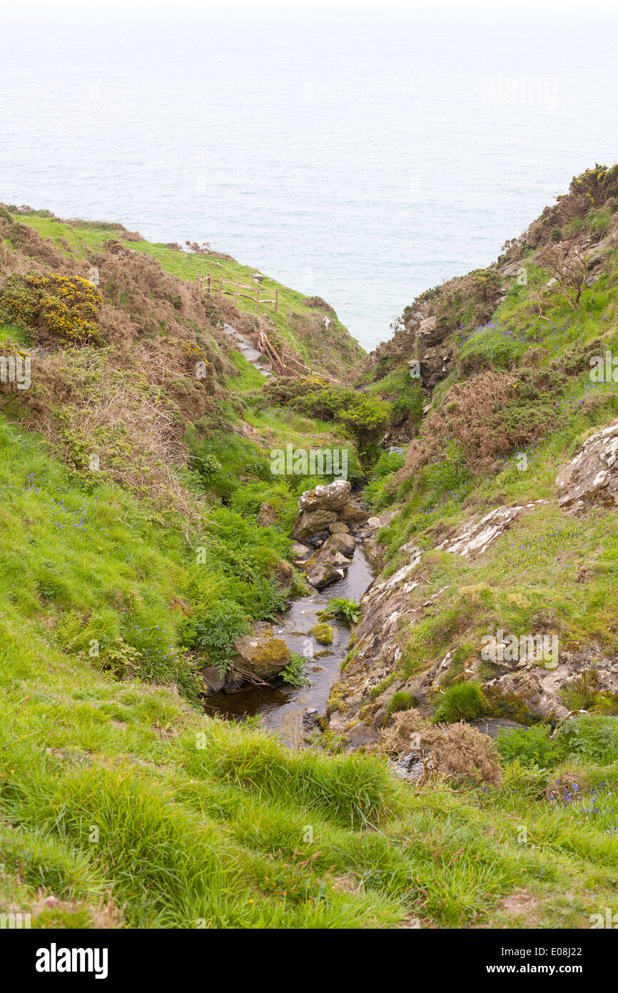 Una vista del torrente che sfocia nel mare a Porth Ysgo una spiaggia appartata / cove sulla penisola di Llyn Foto Stock